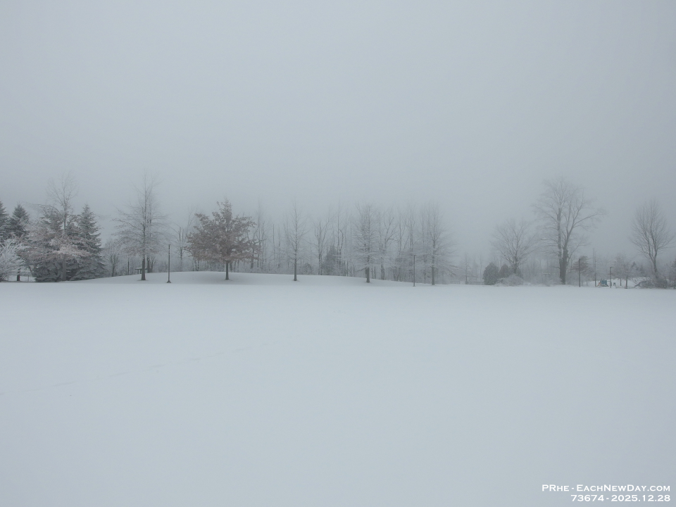 73674Le - Enjoying the hoar frost on a walk with Chester - Milo